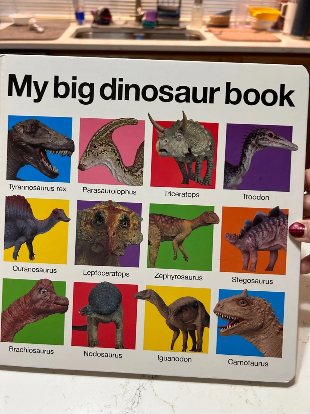My Big Dinosaur Book - Colorful Dinosaur Board Book